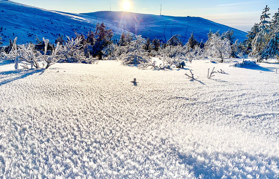 Kaunista, mutta petollista. Lumisateiden jälkeisillä pakkasilla on muodostunut pintakuuraa. Kuva: Ylläs ski patrol